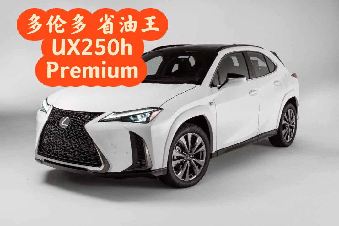多伦多 lexus ux250h 白色现车 马上提_雷克萨斯ux社区_易车社区