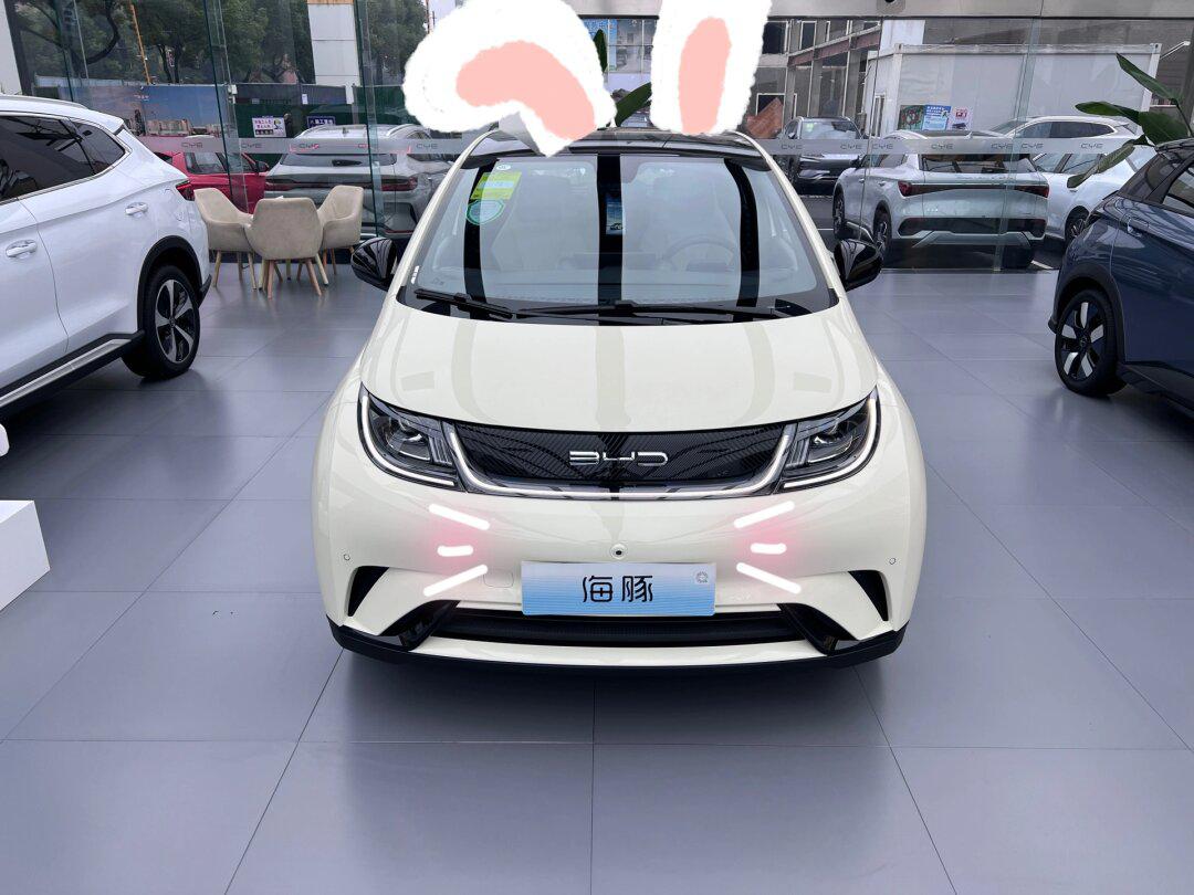 上海比亚迪海豚98 420km时尚 真实落地价7515