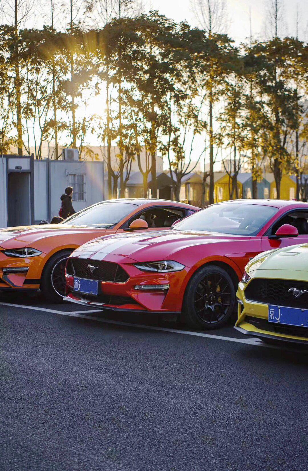 冬天开野马真的舒服!