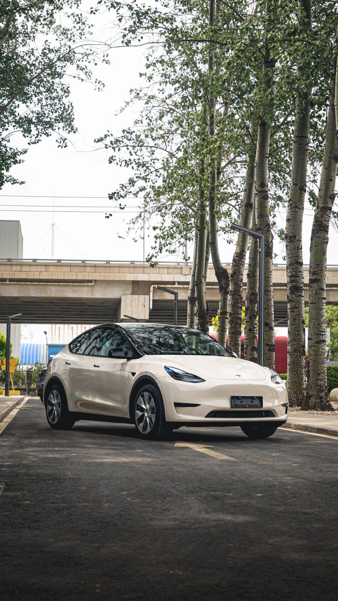 胡椒白一种清新淡雅的颜色让你的特斯拉my散发出独特的魅力