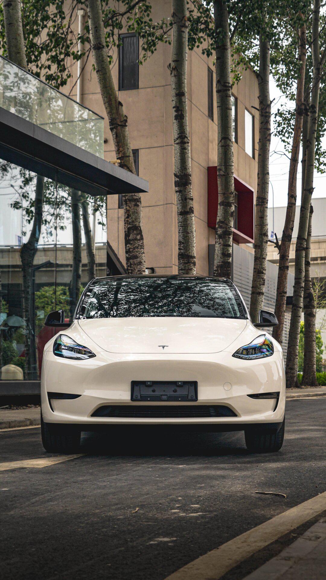 胡椒白一种清新淡雅的颜色让你的特斯拉my散发出独特的魅力