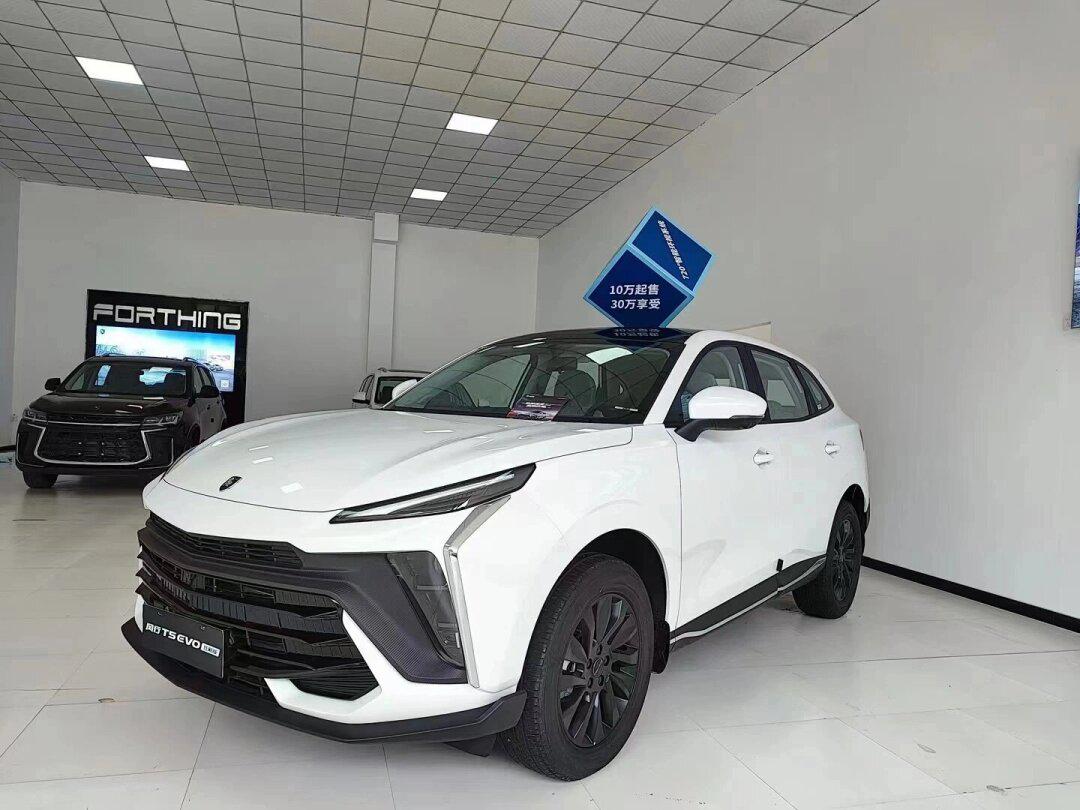 风行t5 evo 2024款1.5t狂飙版 手6999 月3119 配置 驾驶模