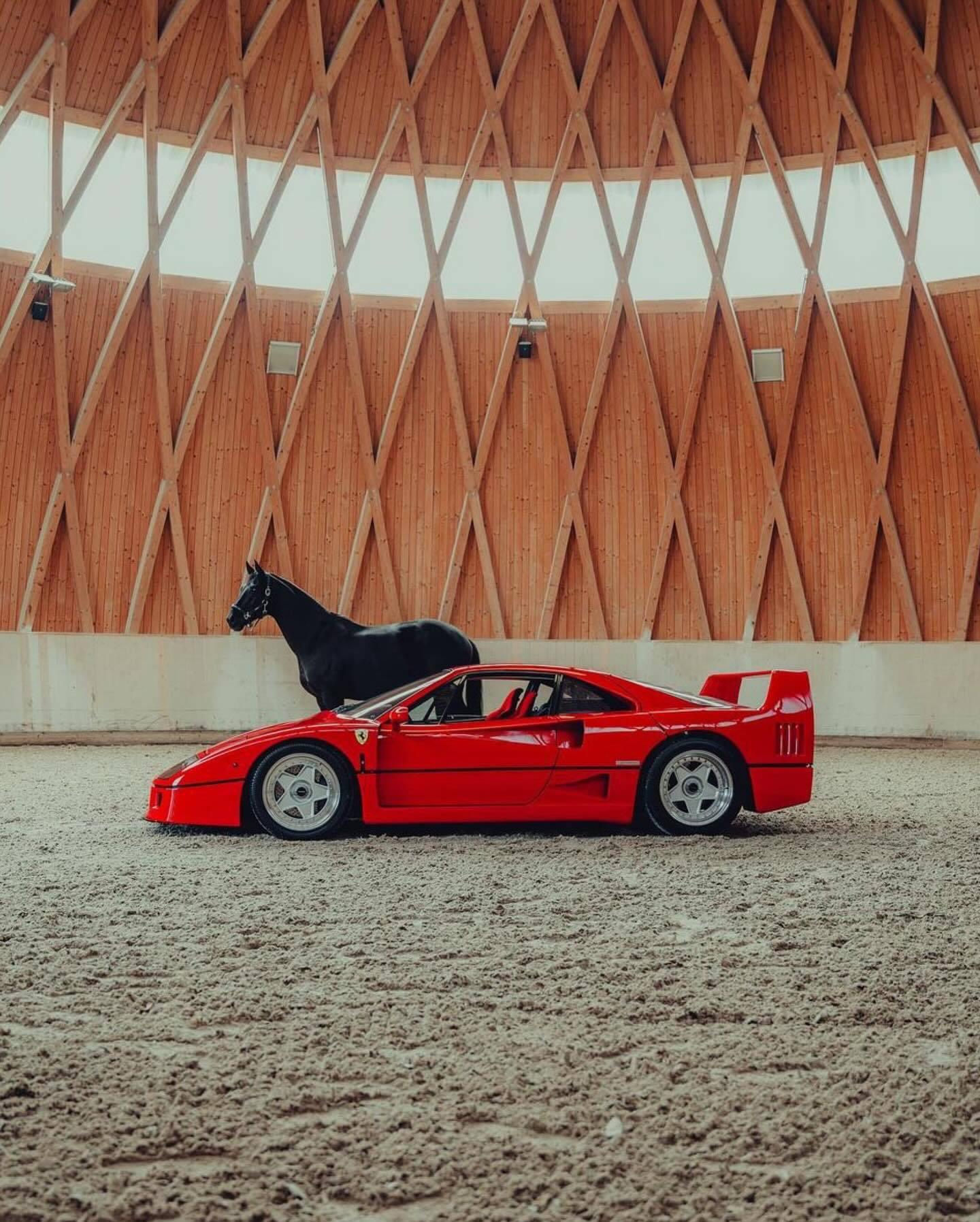法拉利f4008摄影师autoparkuznach