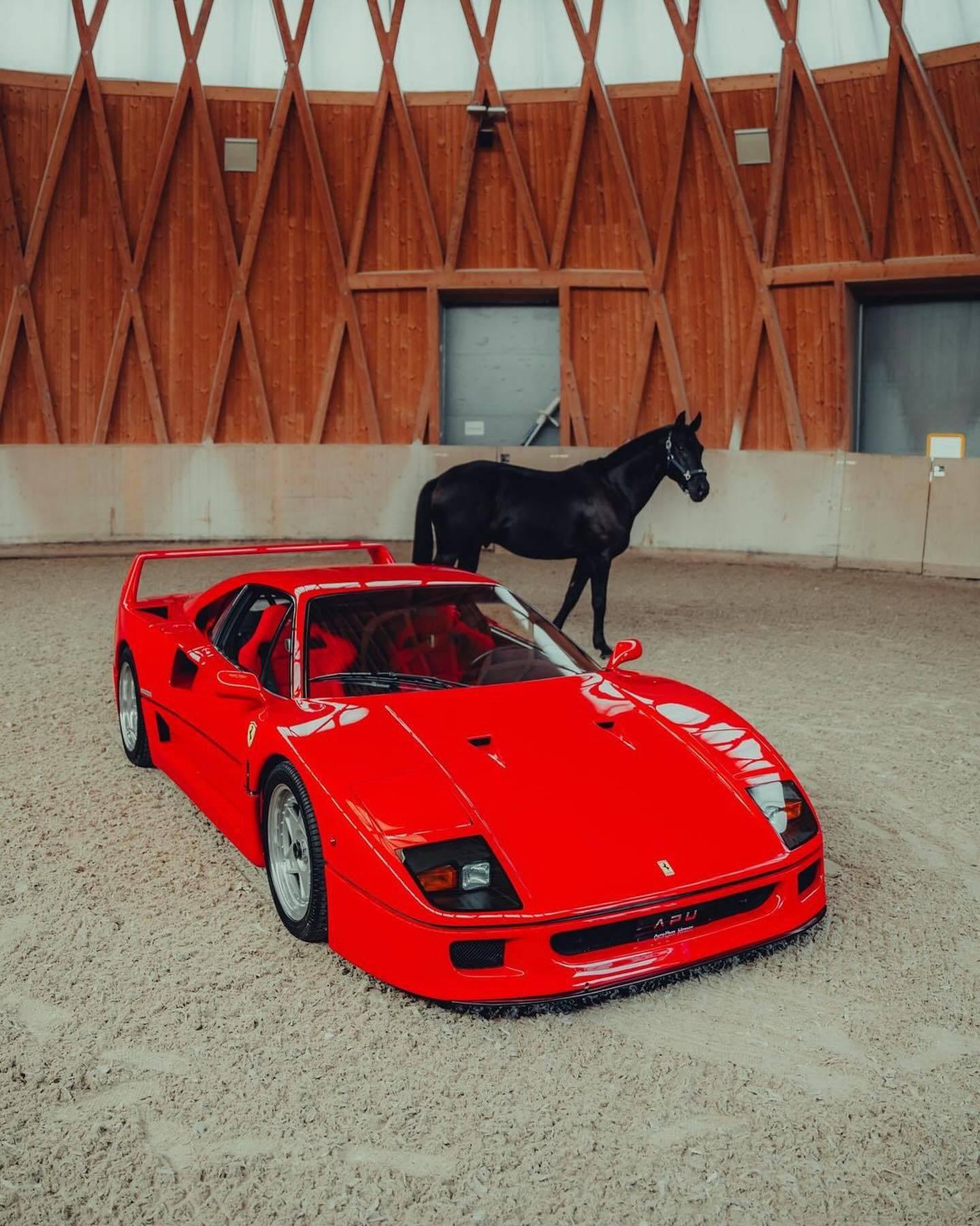 法拉利f4008摄影师autoparkuznach
