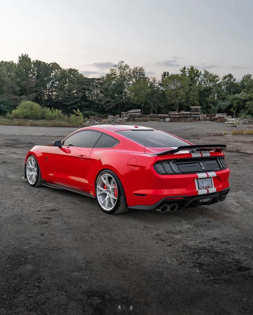 ford mustang gt500 s550