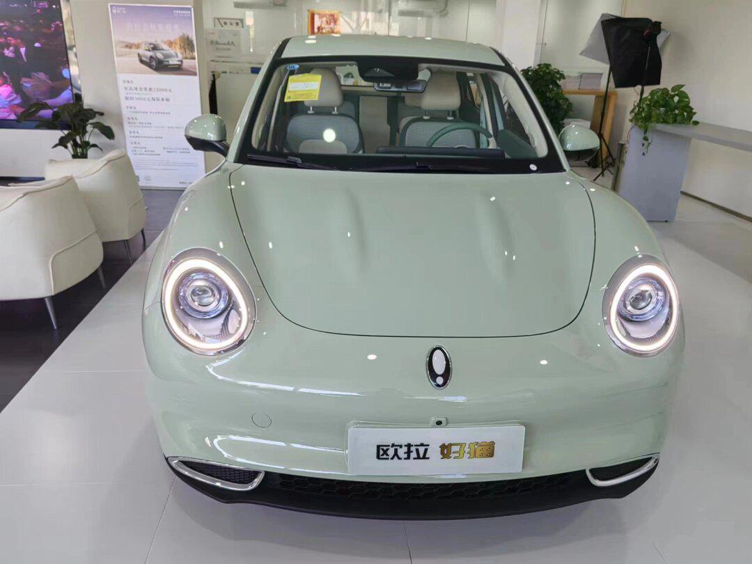 好喜欢这个颜色的好猫