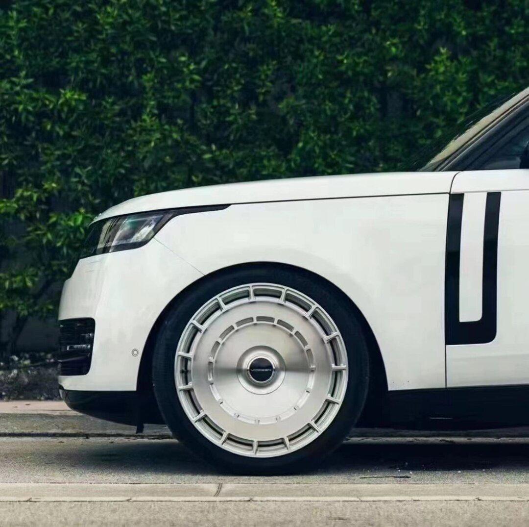 揽胜行政侧鳃鲨鱼鳍叶子板风口_路虎揽胜社区_易车社区