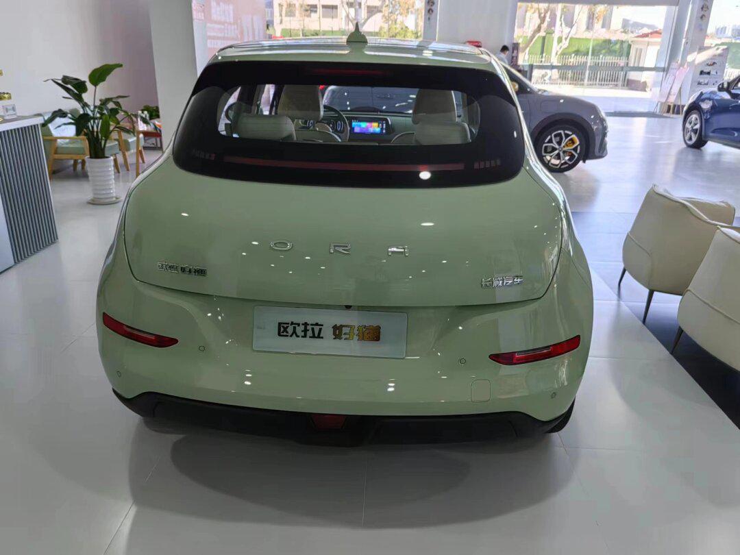 好喜欢这个颜色的好猫