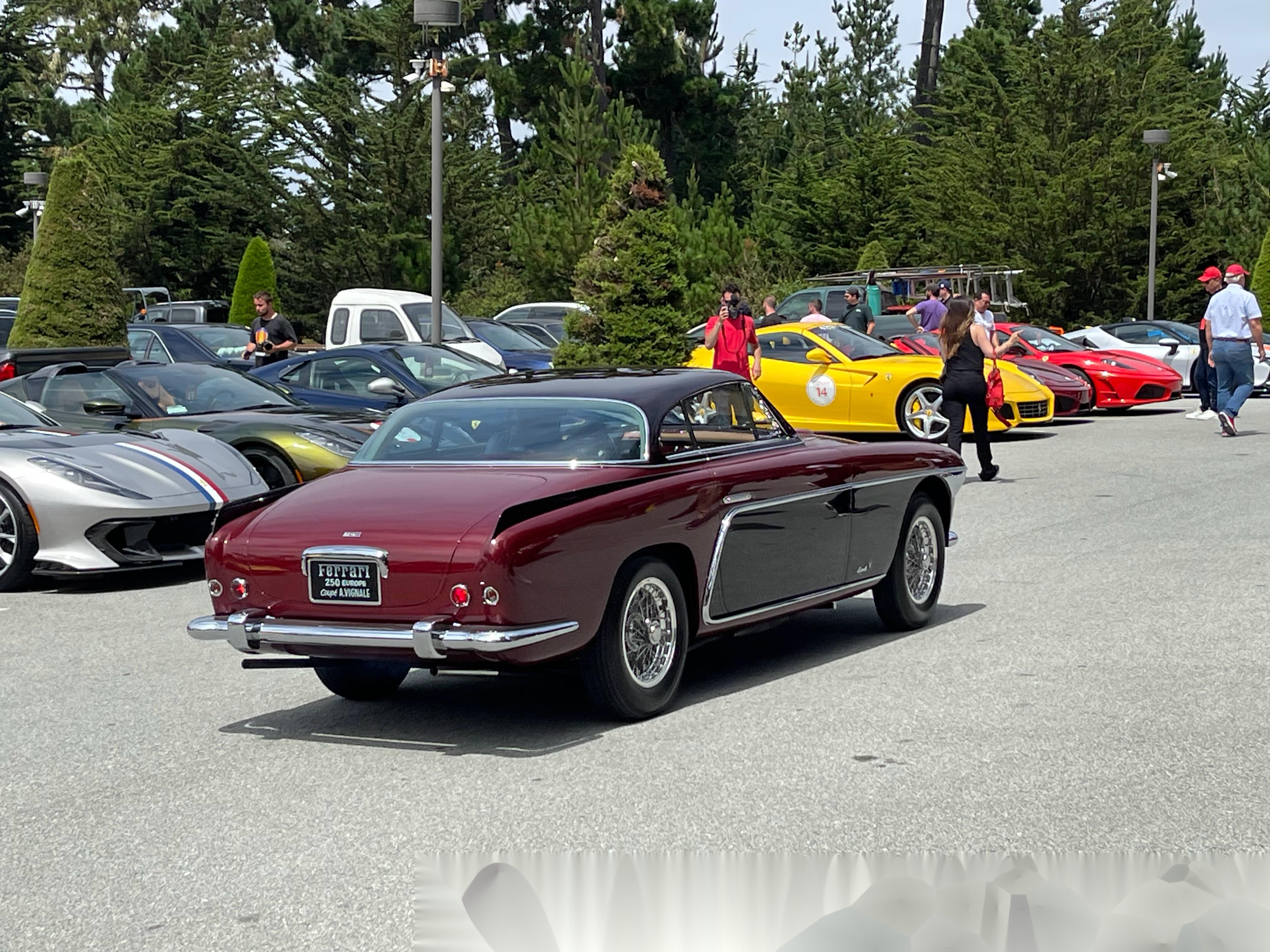 手机里的库存照片也同步更新一下 共计12辆古董法拉利(每辆车的详细