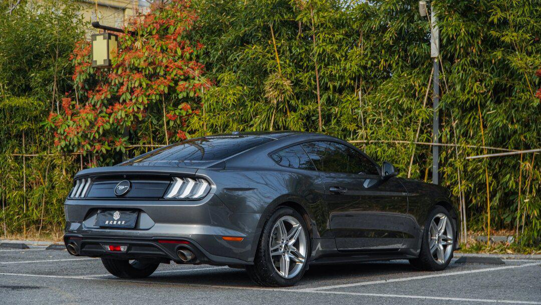 福特野马19款性能加强版大顶配