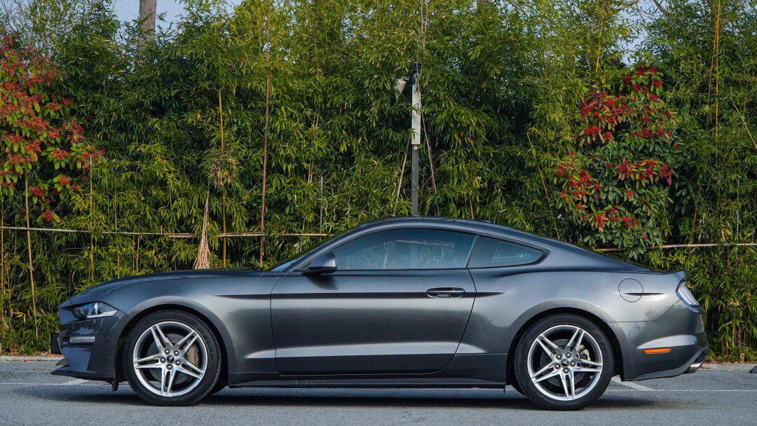 福特野马19款性能加强版大顶配