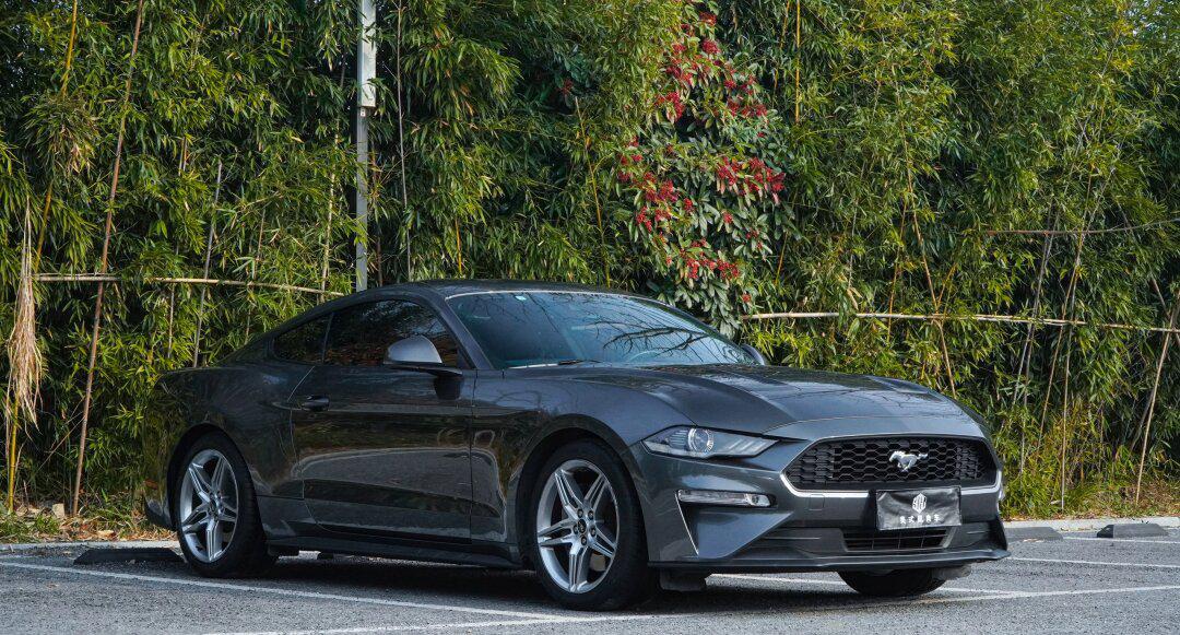 福特野马19款性能加强版大顶配