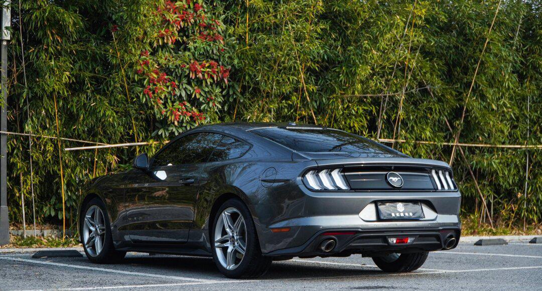 福特野马19款性能加强版大顶配