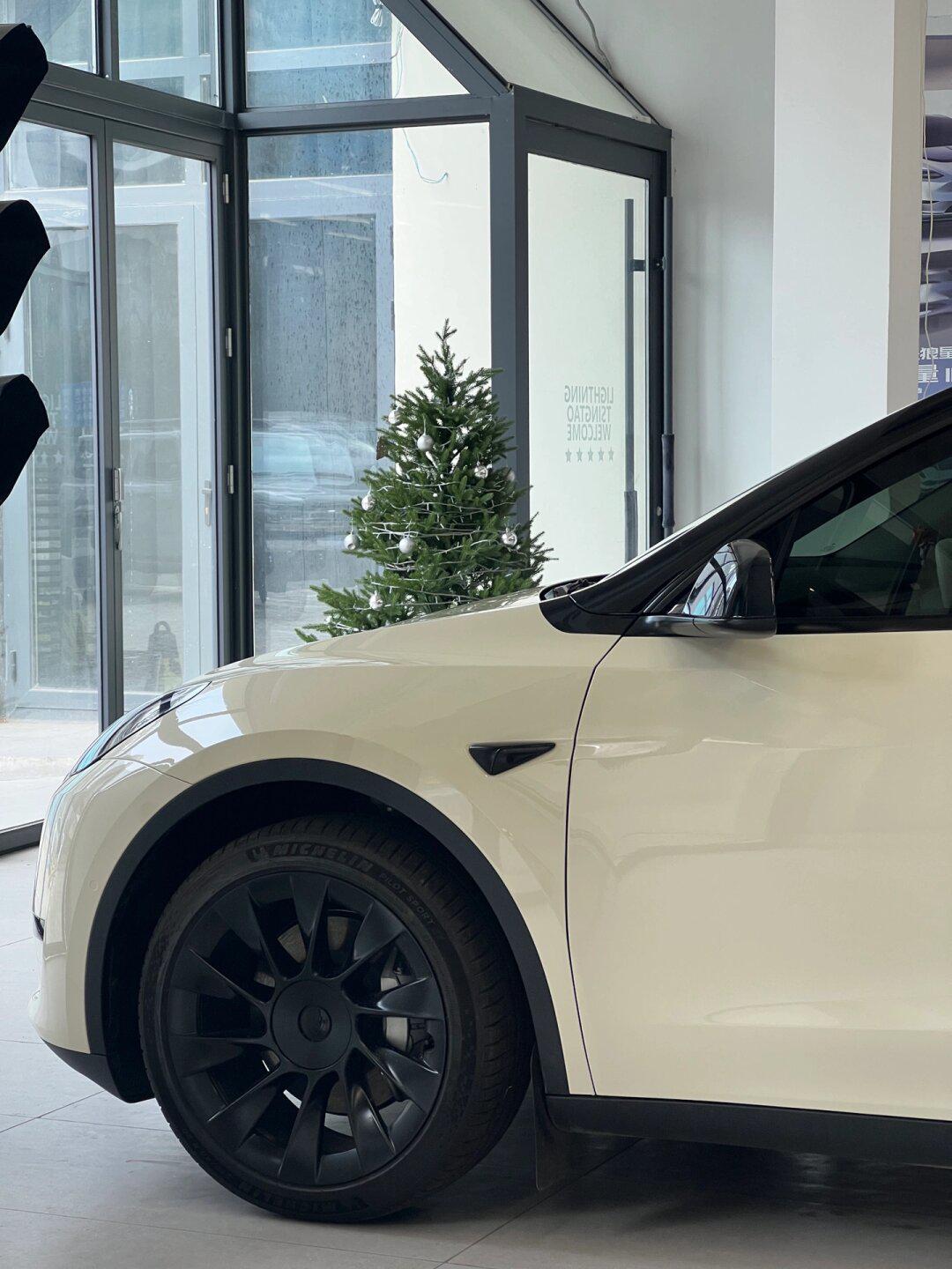 model y|跟所有的烦恼说"白白"99胡椒白来喽