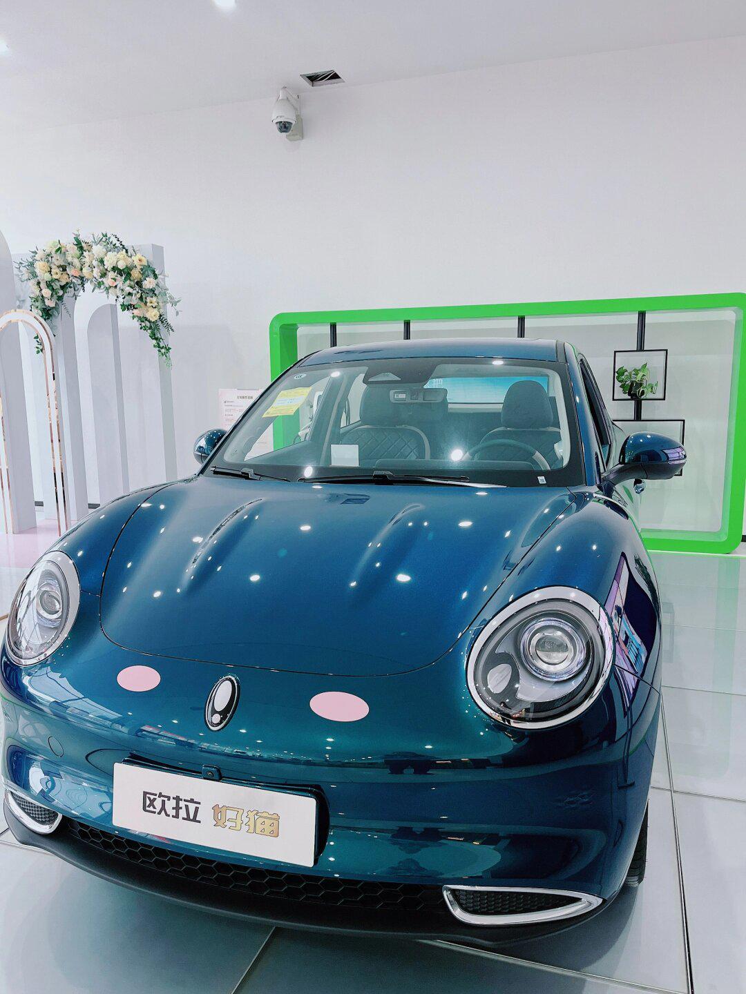 2023款欧拉好猫 岁末节日要有仪式感 官方限时现金钜惠至高22000元