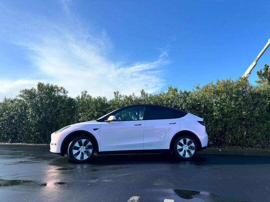 湾区贴膜61花悦粉model y(3m高亮悬浮顶)