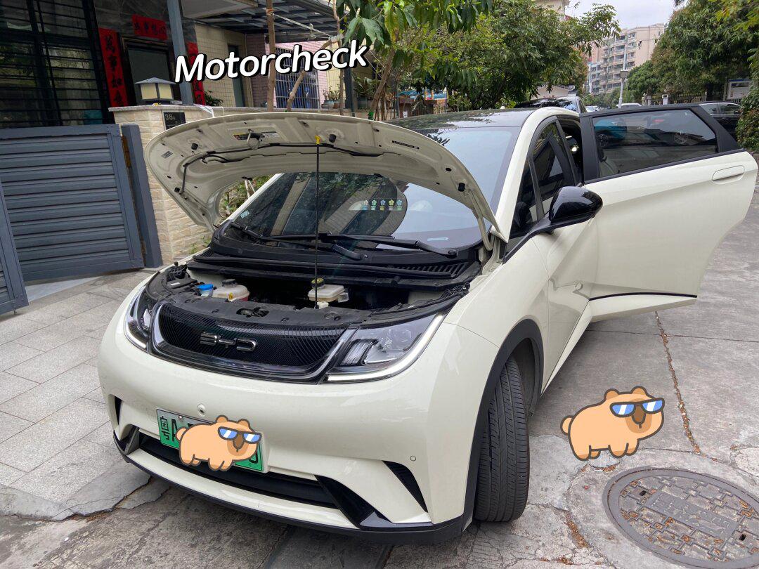 2023 byd dolphin海豚电池包检测