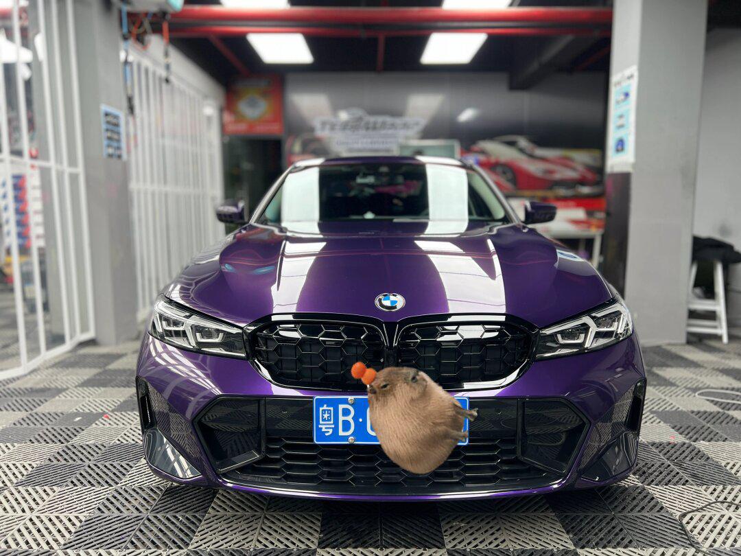 宝马3系改色威尼斯紫-紫色天花板791596_宝马3系社区_易车社区