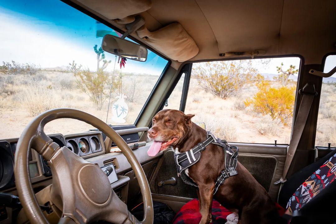 pajero##overland#_帕杰罗社区_易车社区