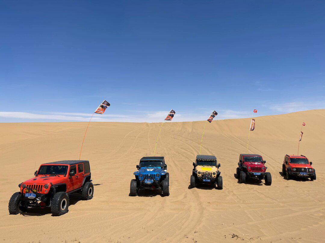 3月8日相约乌兰布和沙漠