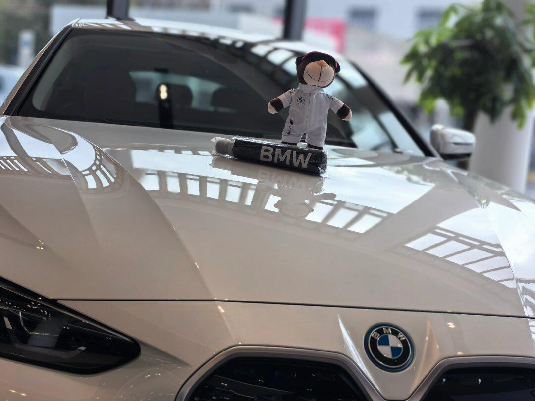 宝马熊免费送第三期!