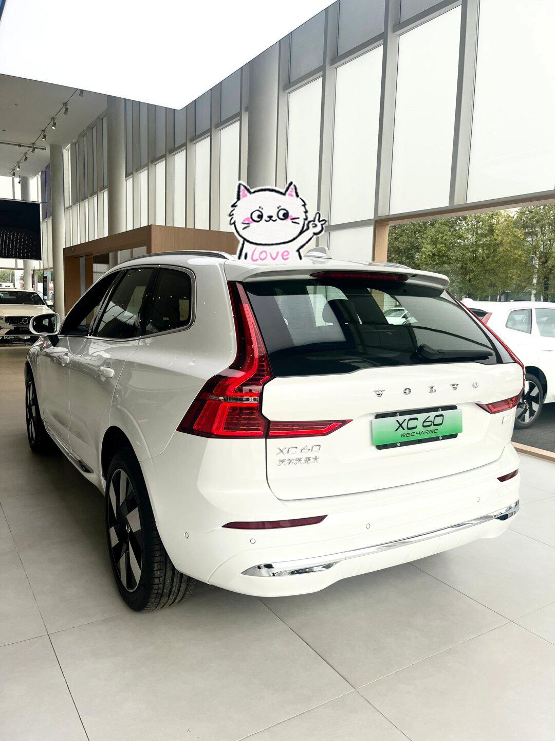 春风十里,沃尔沃xc60陪你一起春日出行