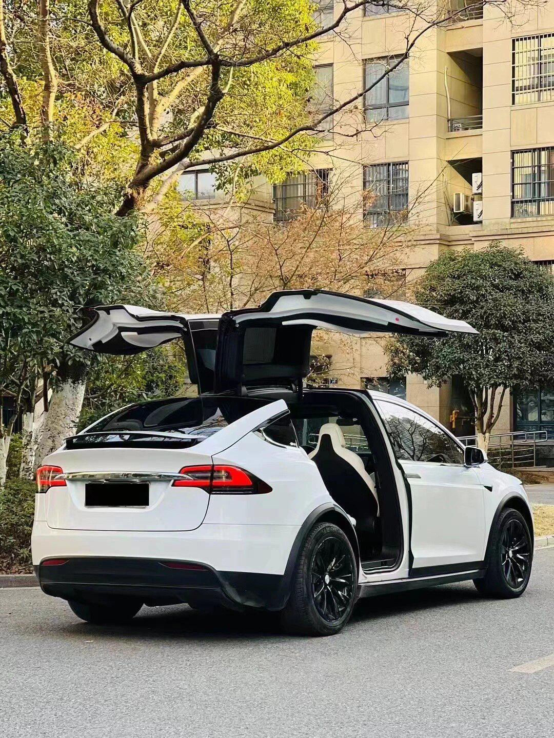 18年特斯拉model x 100d长续航版本.选配白色内饰六座.eap增强版自_mo