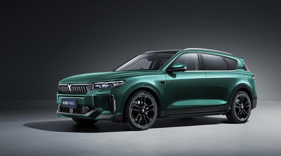 【多杰说车】两款30万级增程suv,新岚图 free 和问界新 m7.