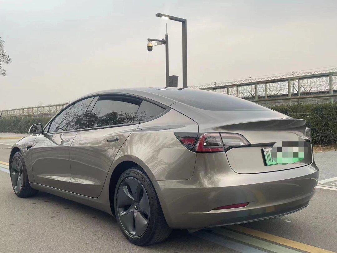 特斯拉毛豆3 20年