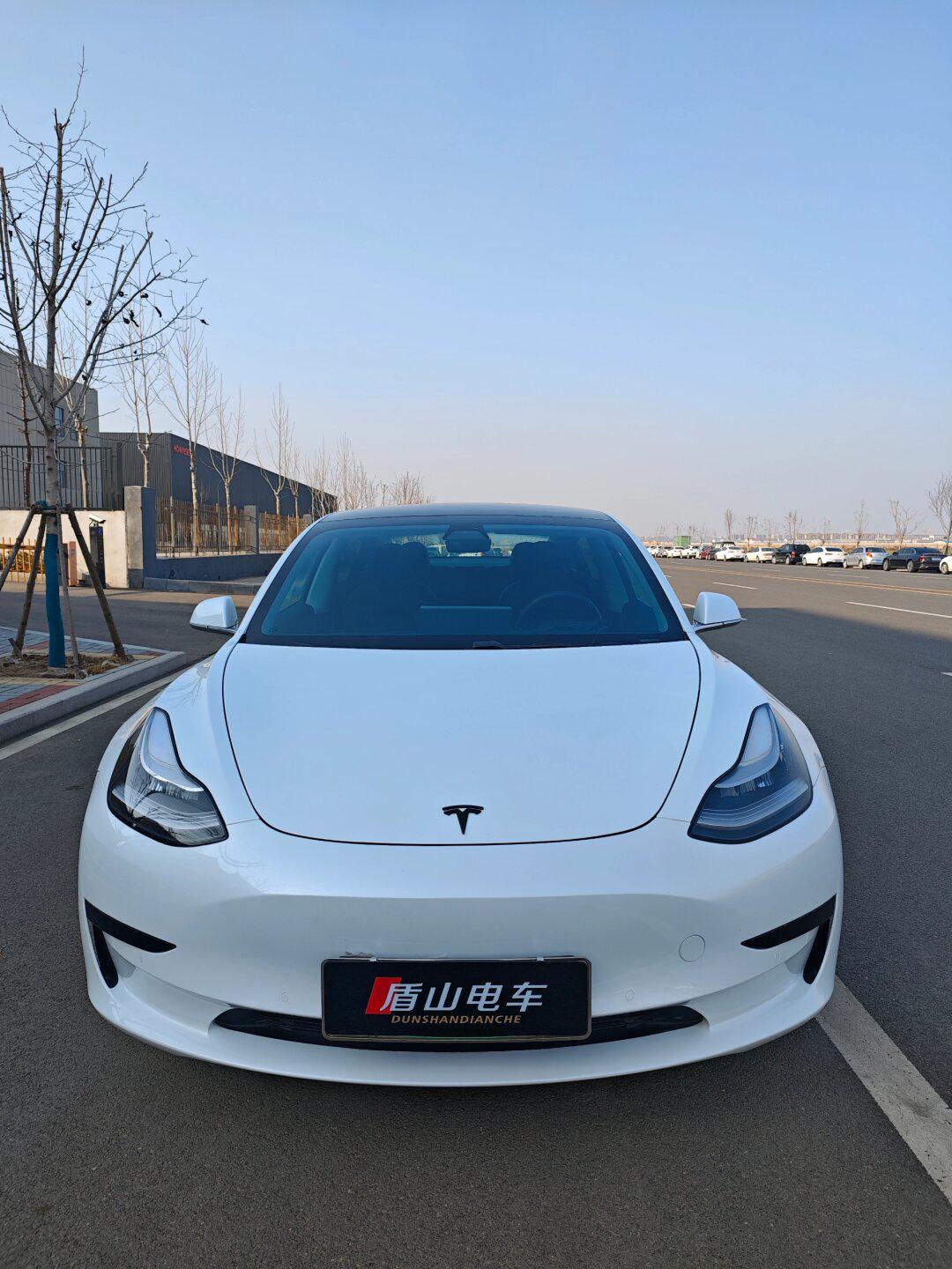 19年19款特斯拉model3 毛豆3标续 12.8万
