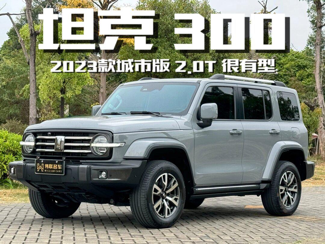 年轻时尚的城市越野车08豪华运动集一体_坦克300社区_易车社区