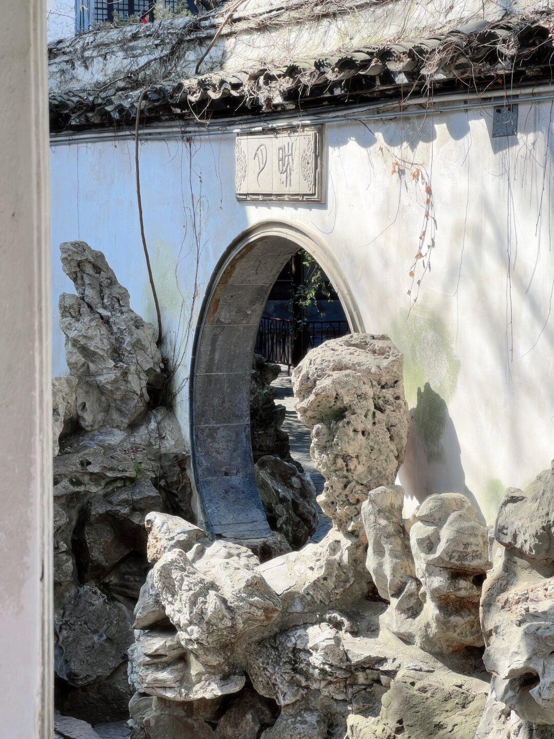 寄畅园的玉兰美到发光!