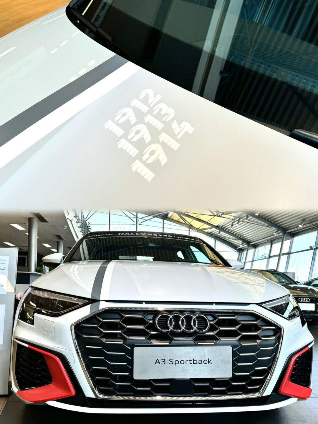 奥迪a3巴音布鲁克太酷啦_奥迪a3社区_易车社区
