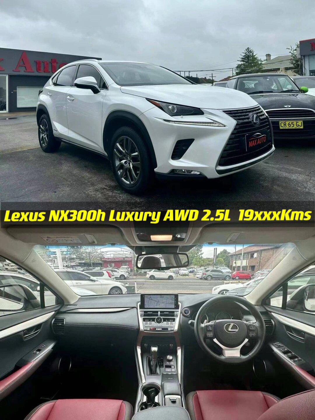 千万不能买lexus nx混动0707_朋克多多社区_易车社区