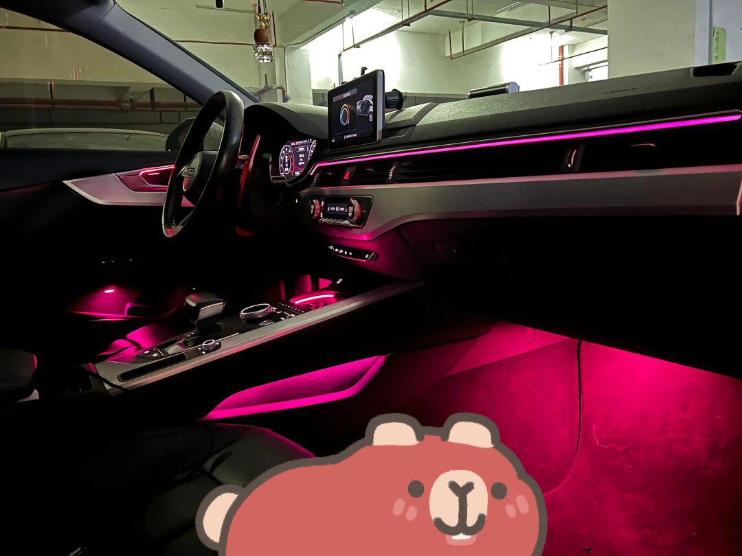 友友们,氛围灯到底装了好看还是不装好看_奥迪a8社区_易车社区