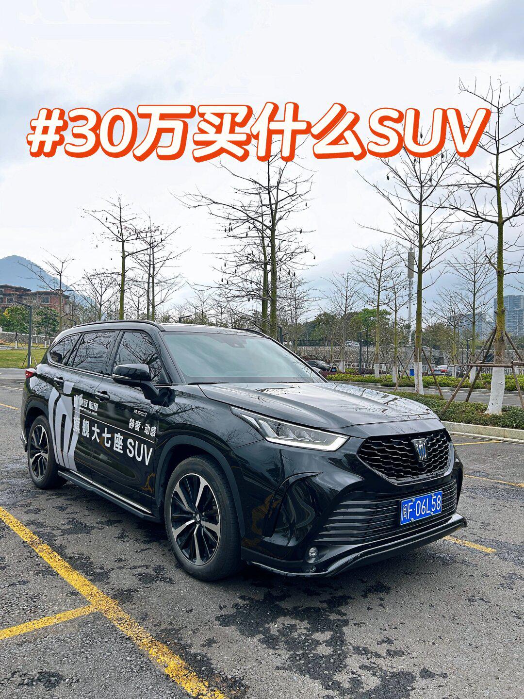 问问大家30万预算买什么suv