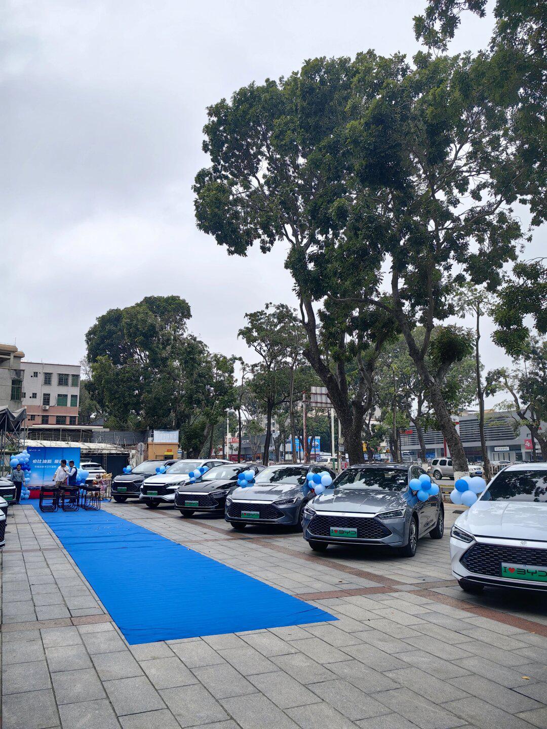 茂名比亚迪粤迪集体交车仪式