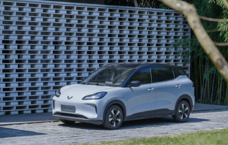 在这场价格战中,比亚迪在插电混合动力领域_五菱缤果plus社区_易车