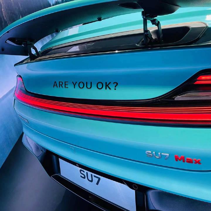 areyouok看看这小米su7logo怎么样