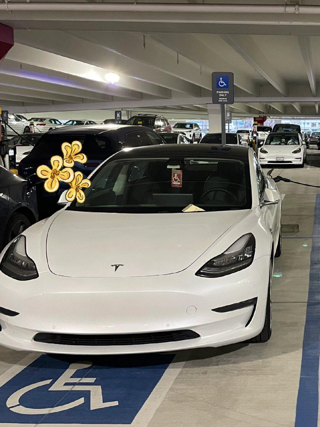 湾区白色model y 抢路_model y社区_易车社区