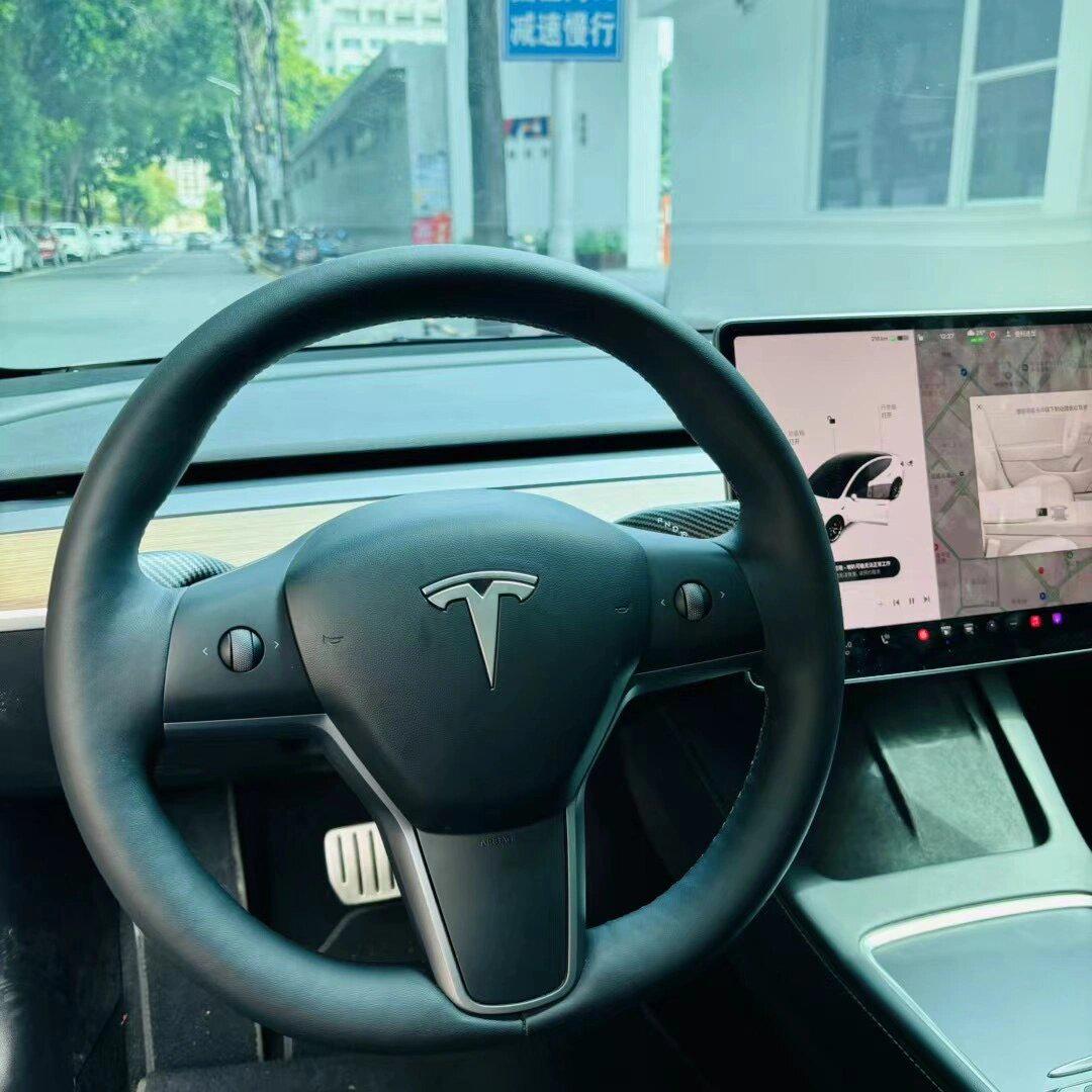 性价比之王 特斯拉model3 perfomance 0-100:3.3秒 性能