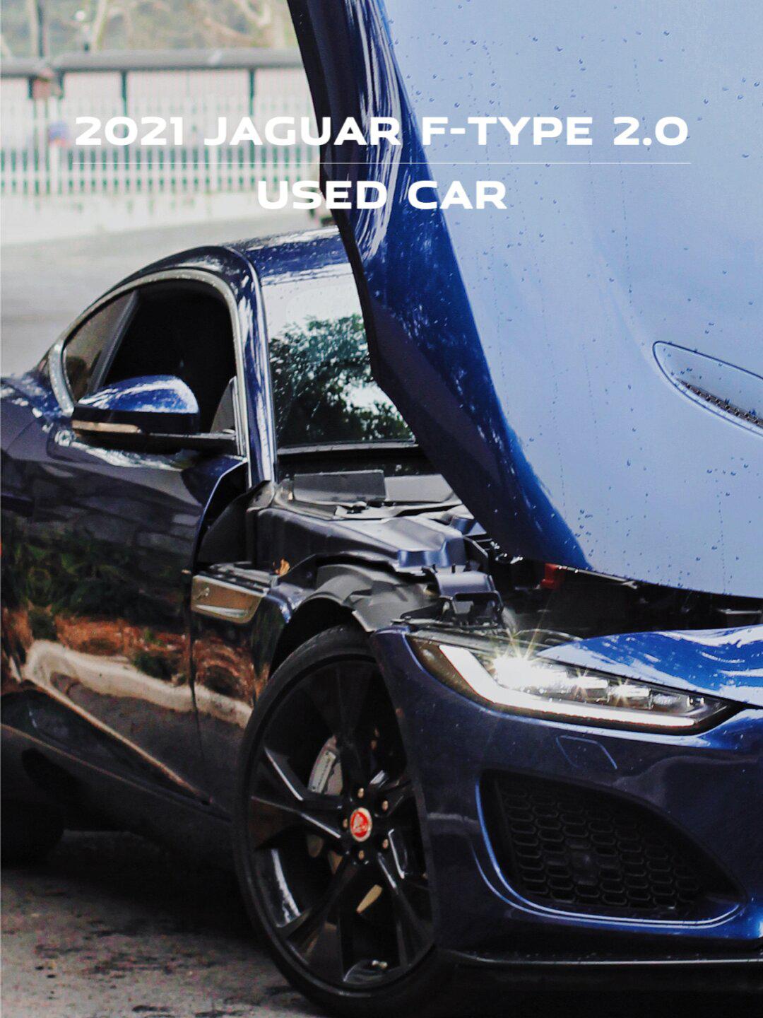 >捷豹f-type社区>25岁|可以不结婚,但要给自已一>1080_1440竖版 竖屏