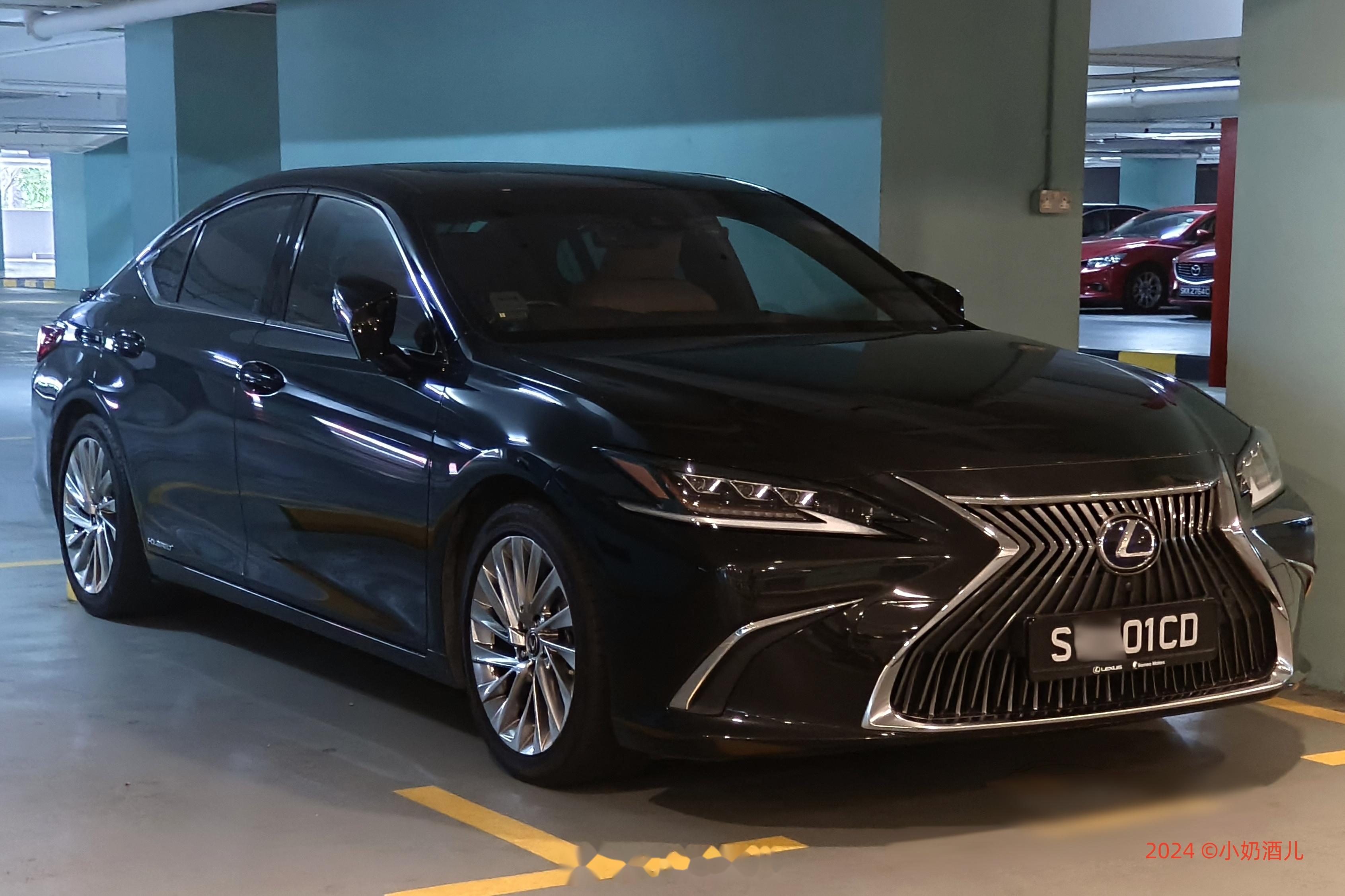 街车拍 新加坡 在这边欧拉好猫也见了三台了 雷克萨斯 es300h 奔驰