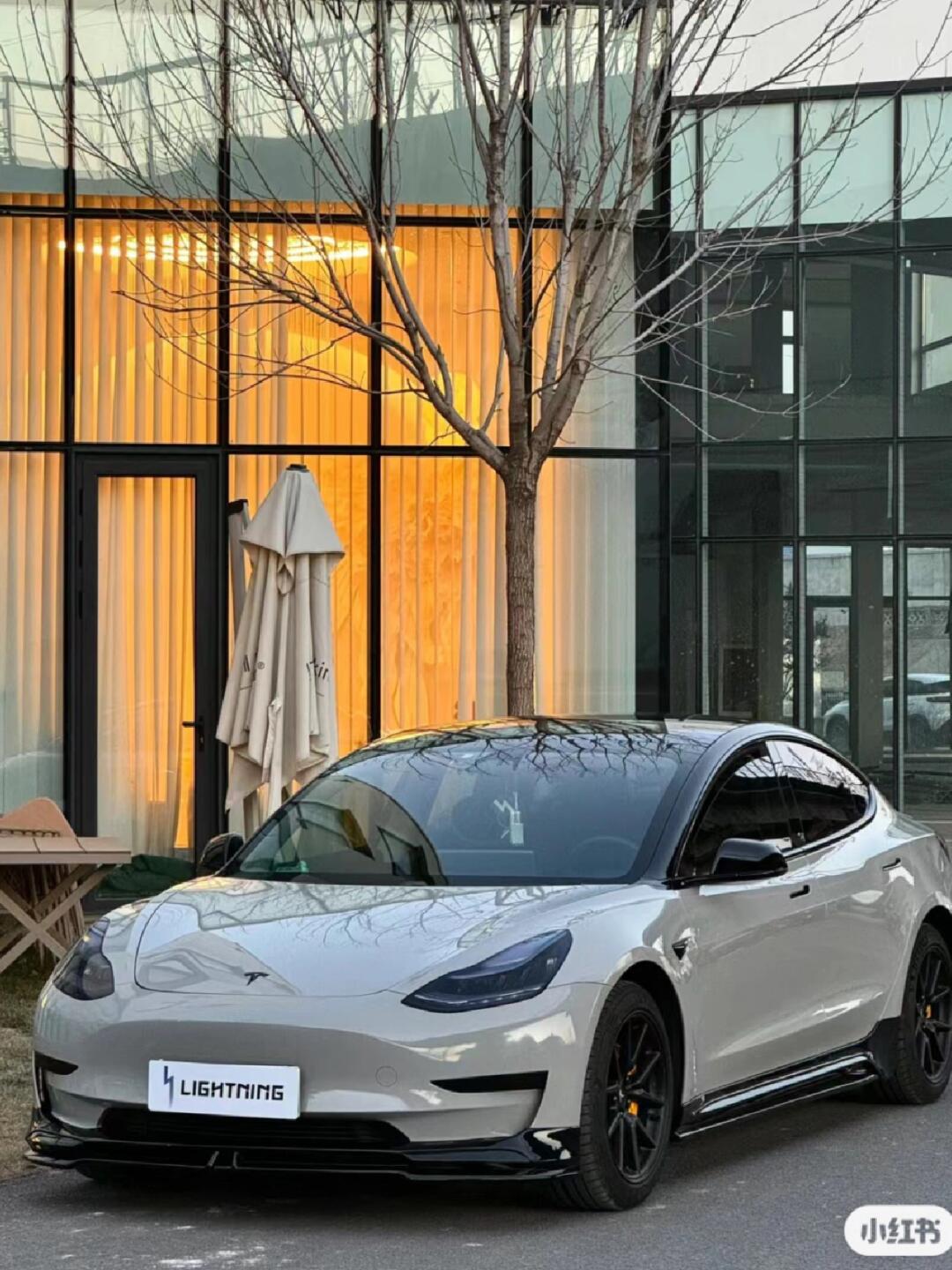 卖个车特斯拉毛豆3