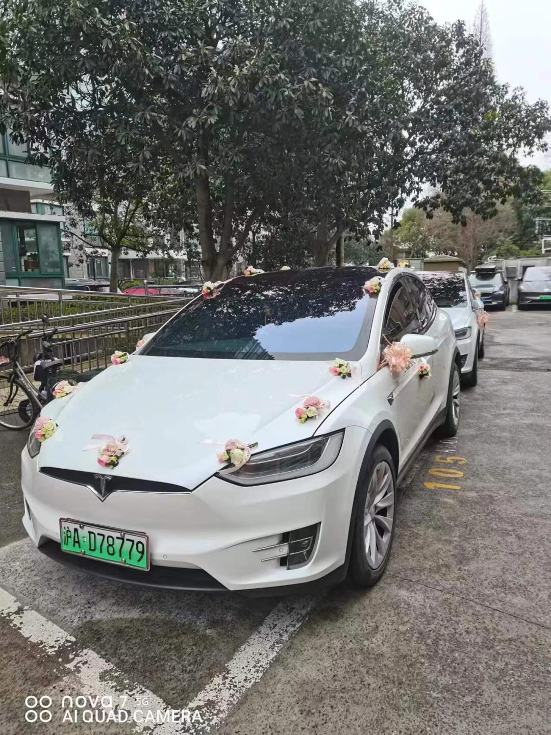 白天鹅般的浪漫爱情婚礼 特斯拉海鸥门车队_model x社区_易车社区