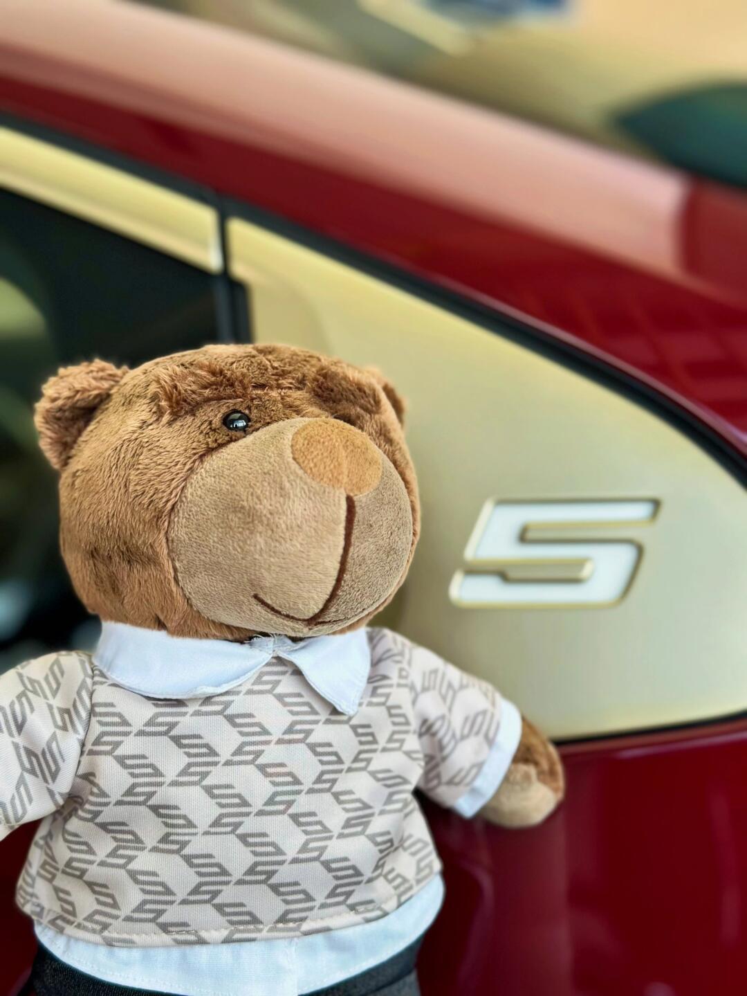 宝马新5系春游带上可爱的小熊