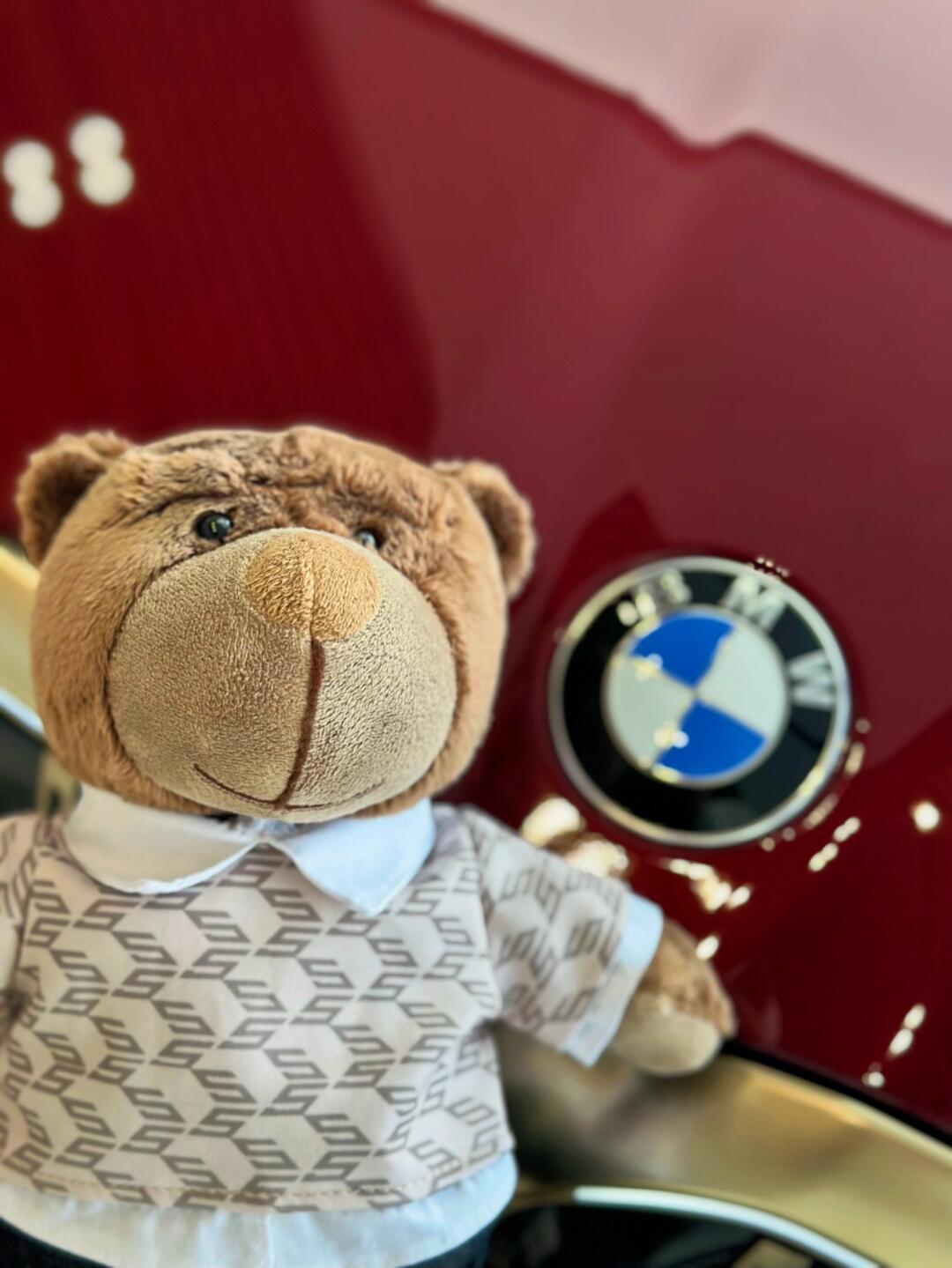 宝马新5系春游带上可爱的小熊