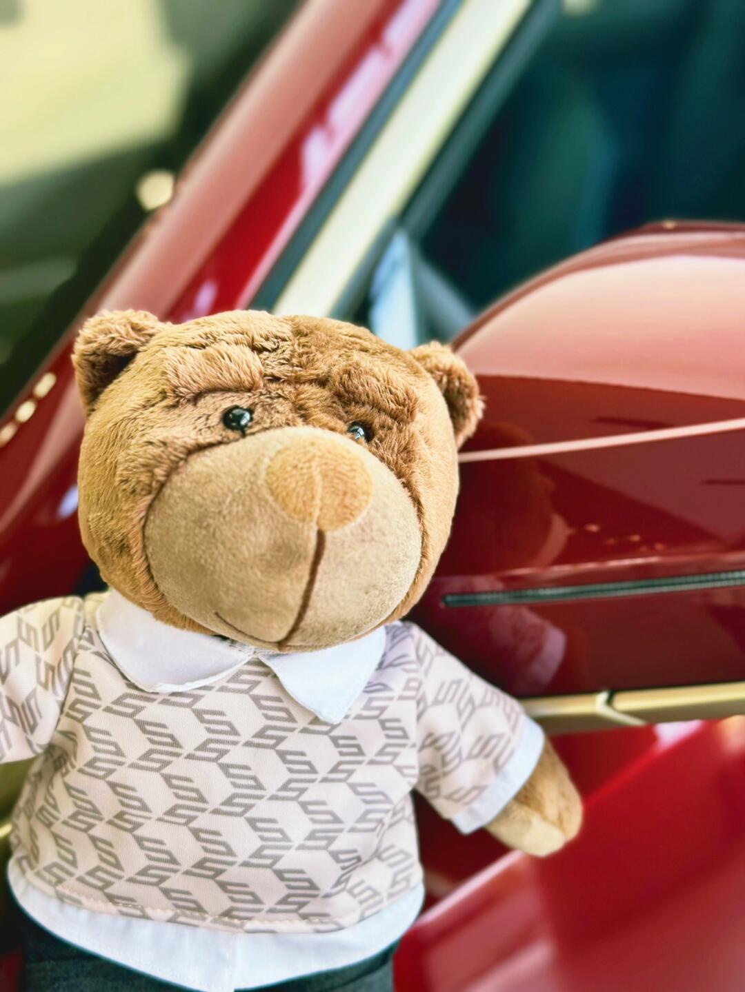 宝马新5系春游带上可爱的小熊