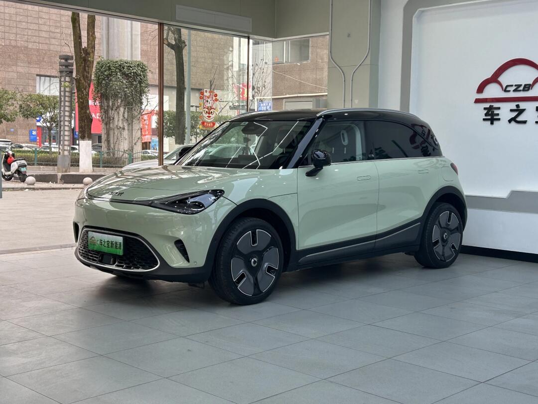 2022款 smart精灵1 premium版