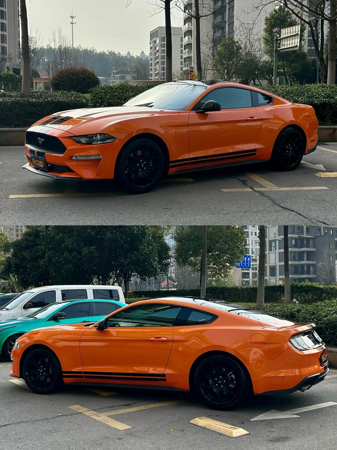 黑橙配色02甜酷感_mustang社区_易车社区